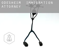 Odesheim  immigration attorney