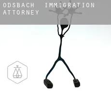 Ödsbach  immigration attorney