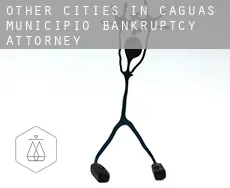 Other cities in Caguas Municipio  bankruptcy attorney