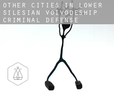 Other cities in Lower Silesian Voivodeship  criminal defense attorney
