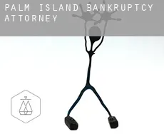Palm Island  bankruptcy attorney