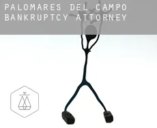 Palomares del Campo  bankruptcy attorney