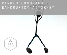Pánuco de Coronado  bankruptcy attorney