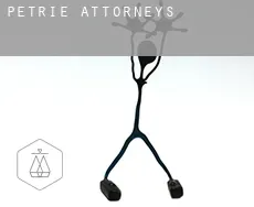 Petrie  attorneys