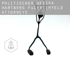 Politischer Bezirk Hartberg-Fuerstenfeld  attorneys