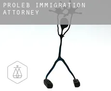 Proleb  immigration attorney