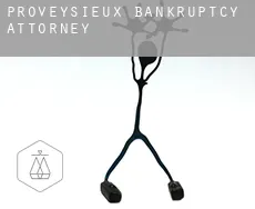 Proveysieux  bankruptcy attorney