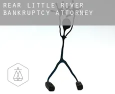 Rear Little River  bankruptcy attorney