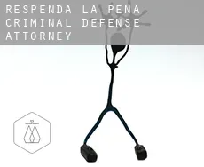 Respenda de la Peña  criminal defense attorney