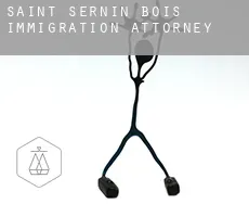 Saint-Sernin-du-Bois  immigration attorney