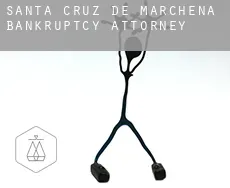Santa Cruz de Marchena  bankruptcy attorney