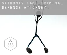 Sathonay-Camp  criminal defense attorney