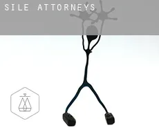 Şile  attorneys