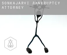 Sonkajärvi  bankruptcy attorney