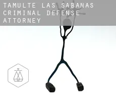 Tamulté de las Sabanas criminal defense attorney