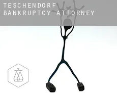 Teschendorf bankruptcy attorney