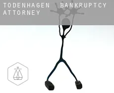 Todenhagen  bankruptcy attorney
