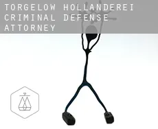 Torgelow-Holländerei  criminal defense attorney