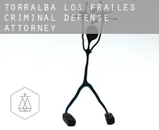 Torralba de los Frailes  criminal defense attorney