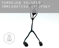 Torrejón de Velasco  immigration attorney