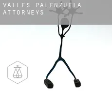 Valles de Palenzuela  attorneys