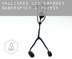 Vallières-les-Grandes bankruptcy attorney