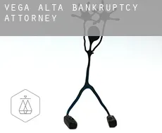 Vega Alta  bankruptcy attorney