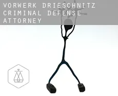 Vorwerk Drieschnitz  criminal defense attorney