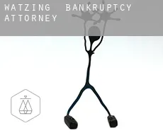 Watzing  bankruptcy attorney