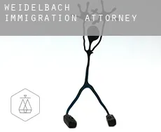 Weidelbach  immigration attorney