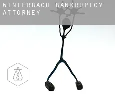 Winterbach  bankruptcy attorney