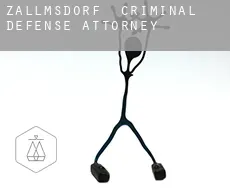 Zallmsdorf  criminal defense attorney