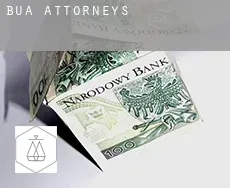 Bua  attorneys