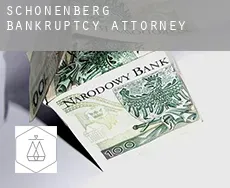 Schönenberg  bankruptcy attorney