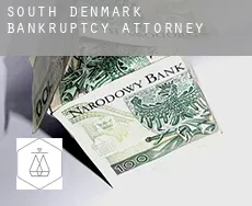 South Denmark  bankruptcy attorney