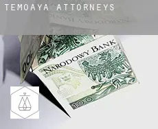 Temoaya attorneys