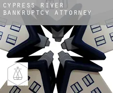 Cypress River  bankruptcy attorney