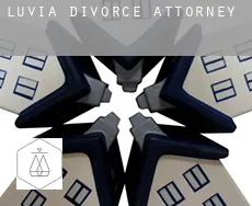 Luvia  divorce attorney