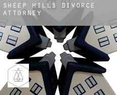 Sheep Hills  divorce attorney