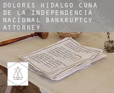Dolores Hidalgo Cuna de la Independencia Nacional  bankruptcy attorney