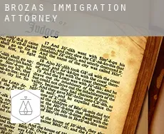 Brozas  immigration attorney