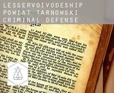 Powiat tarnowski (Lesser Poland Voivodeship)  criminal defense attorney