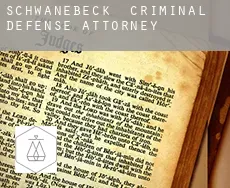 Schwanebeck  criminal defense attorney