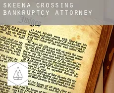Skeena Crossing  bankruptcy attorney