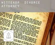 Wittekop  divorce attorney