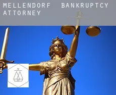 Mellendorf  bankruptcy attorney