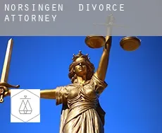 Norsingen  divorce attorney