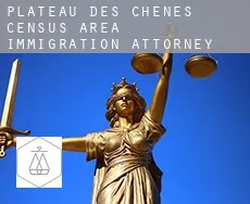 Plateau-des-Chênes (census area)  immigration attorney