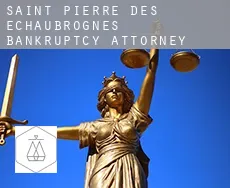 Saint-Pierre-des-Échaubrognes  bankruptcy attorney