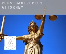 Voss  bankruptcy attorney